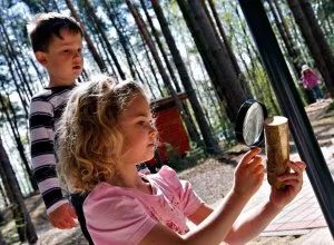 Zwei Kinder untersuchen ein Holzstück mit einer Lupe.
