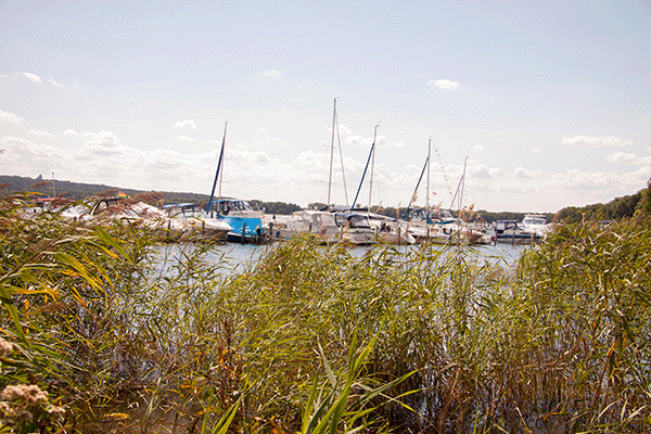Mehrere Boote liegen am Hafen.