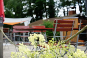 Blick auf die Terrasse vom Hafencafe Palstek.