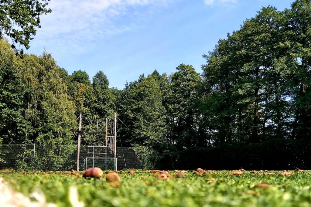 Ein Fußballplatz liegt ganz nah an den Bäumen und bietet einen Blick auf den Hochseilgarten.