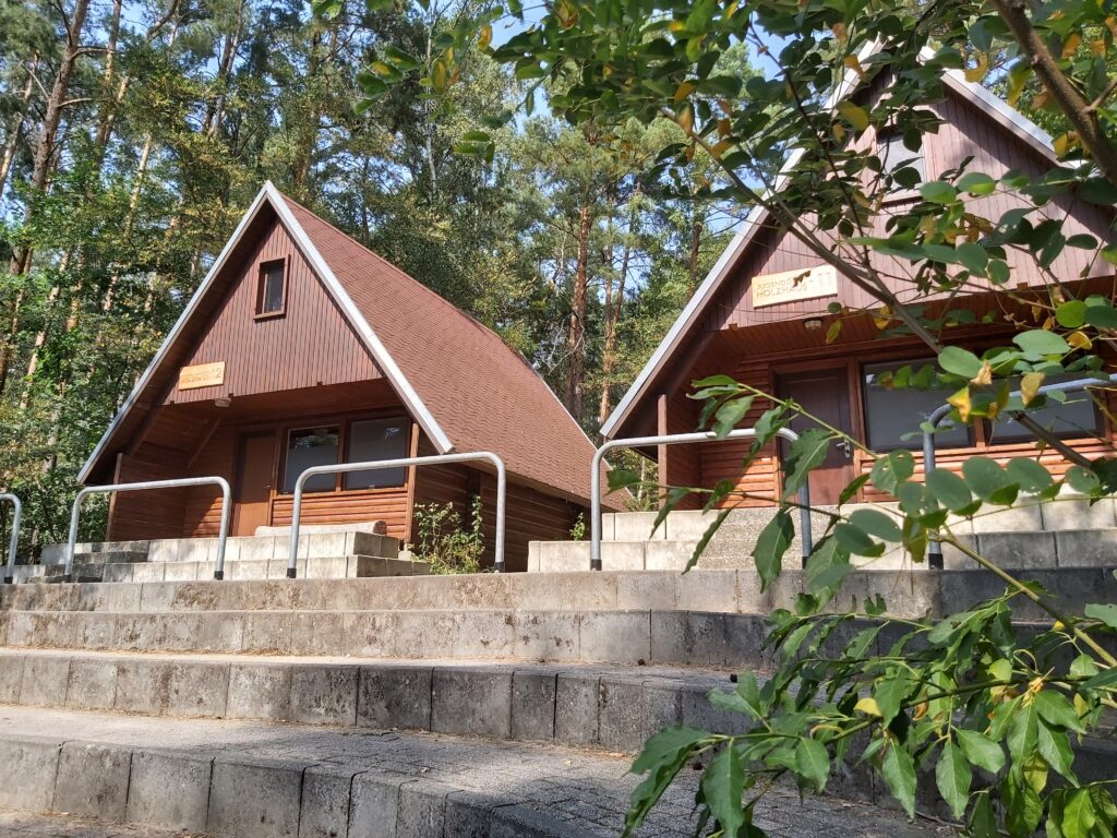 Zwei Holzhäuser als Schlafmöglichkeit umgeben von Bäumen.