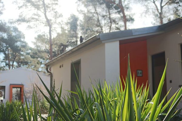 Zwei Gebäude im Wald in denen man übernachten kann auf dem weißem Berg.
